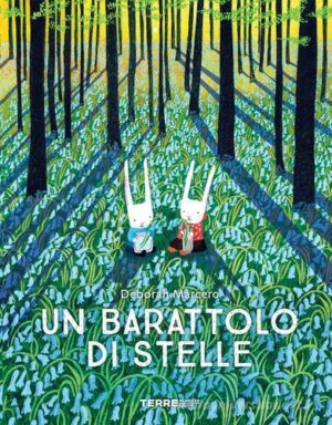 UN BARATTOLO DI STELLE