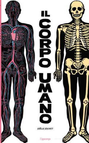 IL CORPO UMANO